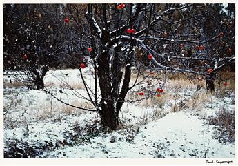 (CAPONIGRO; FONTANA; GARNETT; GIBSON; PORTER) A portfolio entitled Color Nature Landscapes II.